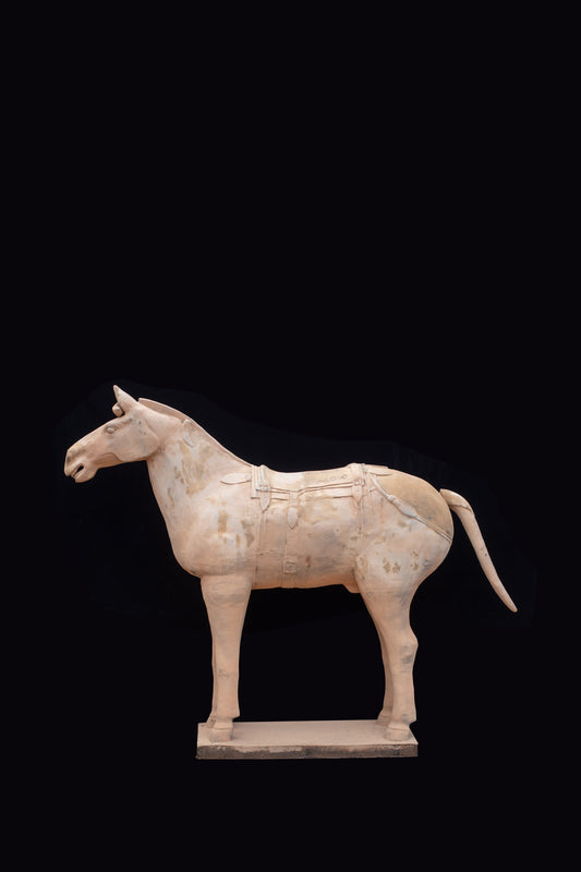 1.8M Horse - CLAYARMY -Side profile showcasing the grand proportions and lifelike features of our 1.8M Clayarmy Terracotta Horse.